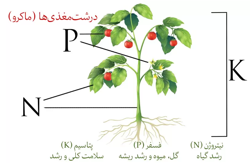 کود NPK چیست و چگونه کار می‌کند؟ - کود NPK - 09192759535